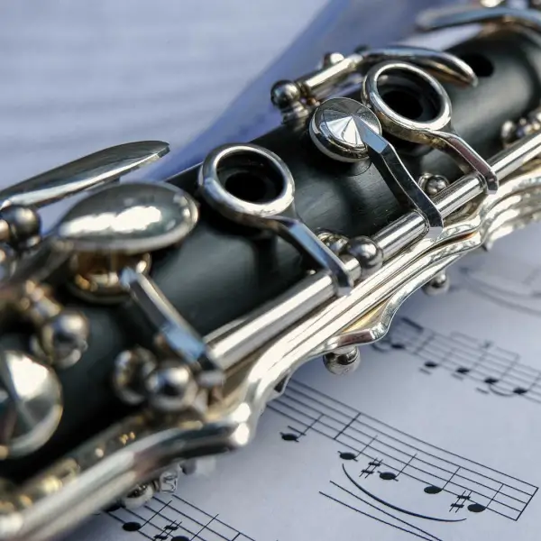 La Banda Municipal de Música de Santiago interpretando un concierto con una solista de marimba en el escenario.