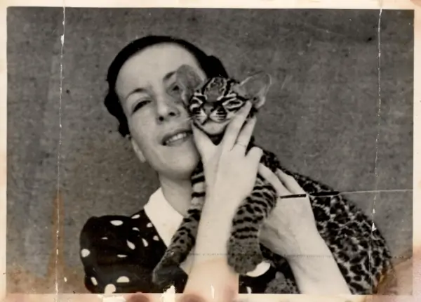 Imagen de la Biblioteca Pública de Santiago Ánxel Casal.